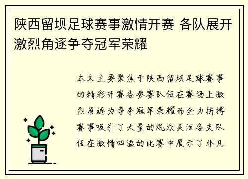 陕西留坝足球赛事激情开赛 各队展开激烈角逐争夺冠军荣耀