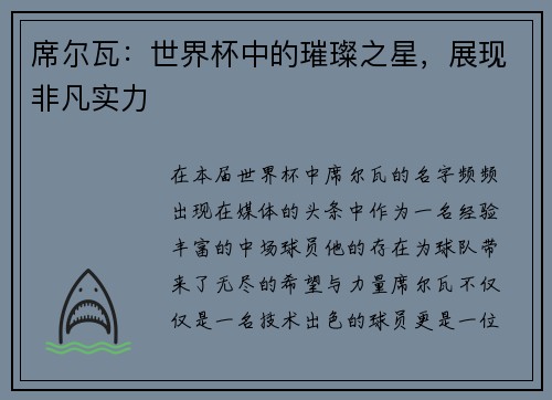 席尔瓦：世界杯中的璀璨之星，展现非凡实力