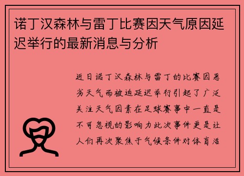 诺丁汉森林与雷丁比赛因天气原因延迟举行的最新消息与分析