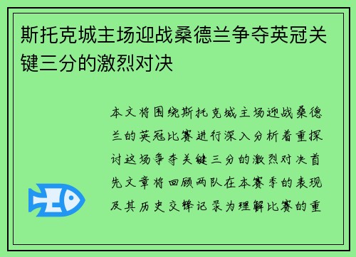 斯托克城主场迎战桑德兰争夺英冠关键三分的激烈对决