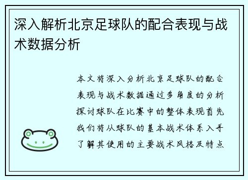 深入解析北京足球队的配合表现与战术数据分析